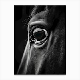 Eye Of A Horse Canvas Print