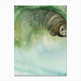 Manatee Storybook Watercolour Canvas Print