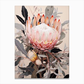 Flower Illustration Protea 7 Canvas Print