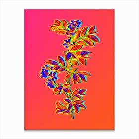 Neon Rabbit Eye Blueberry Botanical in Hot Pink and Electric Blue n.0222 Canvas Print