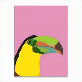 Toucan Canvas Print