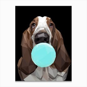 Basset Hound Chewing Bubble Gum Canvas Print