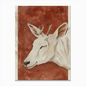 White Goat Canvas Print