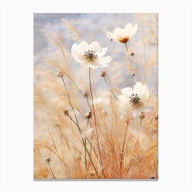 Boho Dried Flowers Love In A Mist Nigella 3 Canvas Print