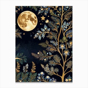 Moon And Stars 1 Canvas Print