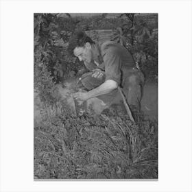Untitled Photo, Possibly Related To Mr Schoenfeldt, Fsa (Farm Security Administration) Client, Watering Tile Canvas Print