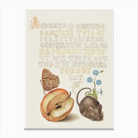 Vintage Calligraphy Letter Mouse And Butterfly Canvas Print