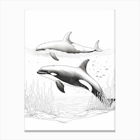 Abstract Orca Whale Pencil Drawing Canvas Print