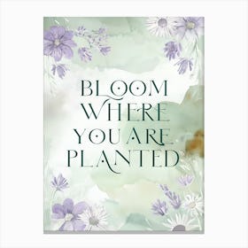 Bloom Where You Are Planted Canvas Print