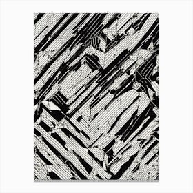 Abstract Pattern In Black And White Canvas Print