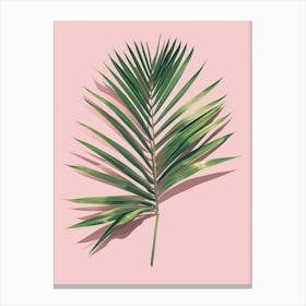 Palm Leaf On Pink Background 2 Canvas Print