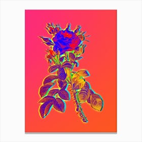 Neon Lelieur's Four Seasons Rose Botanical in Hot Pink and Electric Blue n.0019 Canvas Print