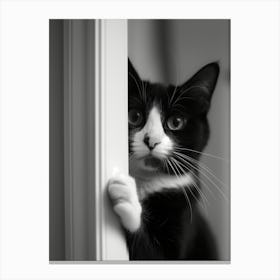 Black And White Cat 1 Canvas Print