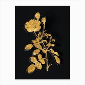 Vintage Sparkling Rose Botanical in Gold on Black n.0050 Canvas Print
