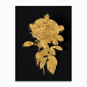 Vintage Giant French Rose Botanical in Gold on Black n.0362 Canvas Print