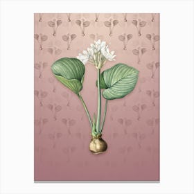 Vintage Cardwell Lily Botanical on Dusty Pink Pattern n.2272 Canvas Print