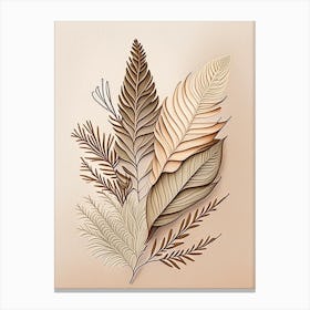 Cypress Leaf Earthy Line Art Canvas Print