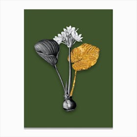 Vintage Cardwell Lily Black and White Gold Leaf Floral Art on Olive Green n.1171 Canvas Print