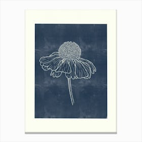 Daisy Grace Canvas Print