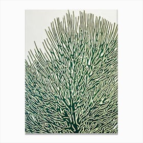 Acropora Tenuis Iiii Linocut Canvas Print