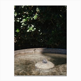 Fountain close up, Granada, Spain Canvas Print