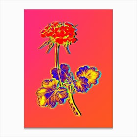 Neon Scarlet Geranium Botanical in Hot Pink and Electric Blue n.0527 Canvas Print