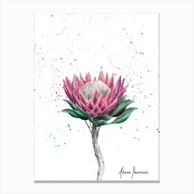 Sugarbush Flower Canvas Print