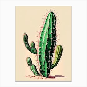 Fishhook Cactus Retro Drawing Canvas Print