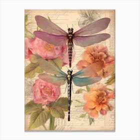 Dragonfly Vintage Pastel 1 Canvas Print