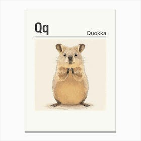 Animals Alphabet Quokka 4 Canvas Print