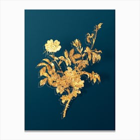 Vintage White Downy Rose Botanical in Gold on Teal Blue n.0049 Canvas Print