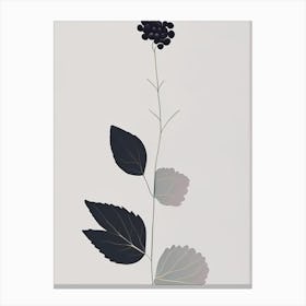 Blackberry Blossom Wildflower Simplicity Canvas Print