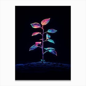 Neon Plant 35 Canvas Print