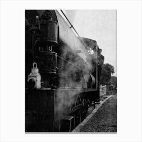 Isle Of Wight Steam Railway Autumn 2024 (Steam) Canvas Print