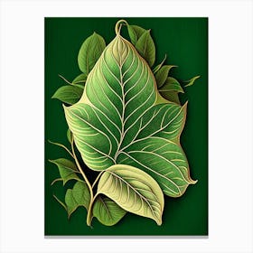 Jasmine Leaf Vintage Botanical 1 Canvas Print