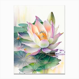 Amur Lotus Watercolour 1 Canvas Print