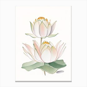 Double Lotus Pencil Illustration 5 Canvas Print