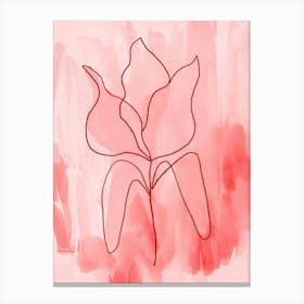 Tulip Coral Canvas Print