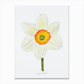 Daffodil 5 Canvas Print