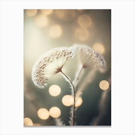 Silver Pearls Canvas Print