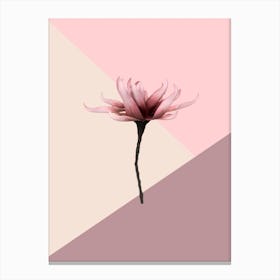 Aesthetic Flower Canvas Print