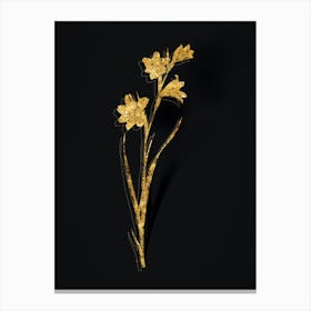 Vintage Painted Lady Botanical in Gold on Black n.0390 Canvas Print