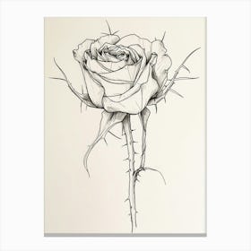 English Rose Black And White Line Drawing 32 Canvas Print