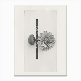 Chrysanthemum Flower Photo Collage 4 Canvas Print