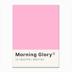 Morning Glory Canvas Print