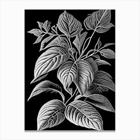 Lemon Balm Leaf Linocut 1 Canvas Print