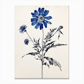 Blue Botanical Edelweiss Canvas Print