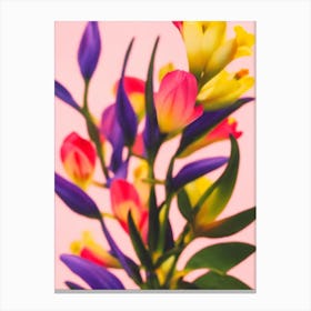 Freesia Colourful Illustration Plant Canvas Print