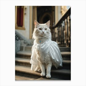 Cat In A Wedding Dress Canvas Print
