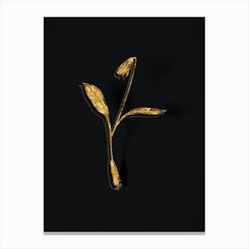 Vintage Erythronium Botanical in Gold on Black n.0104 Canvas Print